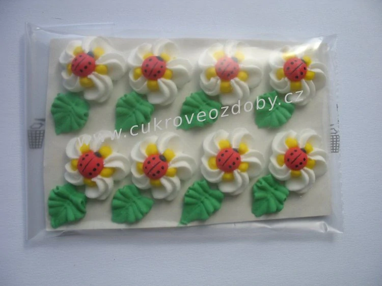 Velké květy s beruškou točené B