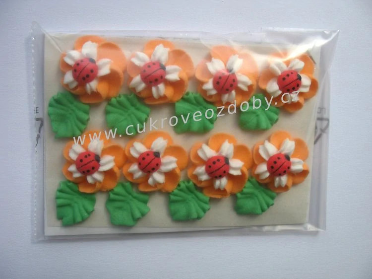 Velké květy s beruškou točené A