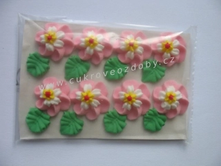 Velké květy točené F