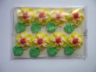 Velké květy s beruškou točené C