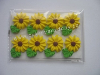 Velké slunečnice žluté